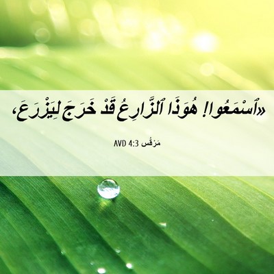Picture 06 - مَرْقُس 4:3 AVD - «ٱسْمَعُوا! هُوَذَا - Bible Verse Picture