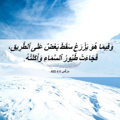 Picture 06 - مَرْقُس 4:4 AVD - وَفِيمَا هُوَ يَزْرَعُ - Bible Verse Picture