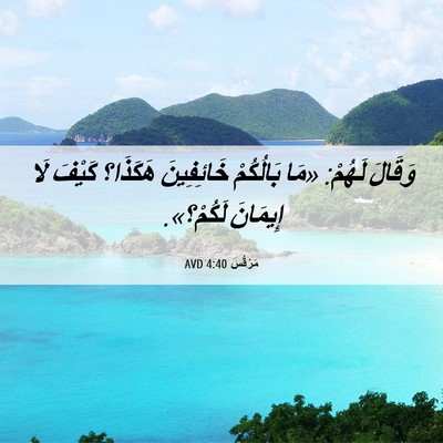 Picture 06 - مَرْقُس 4:40 AVD - وَقَالَ لَهُمْ: «مَا - Bible Verse Picture