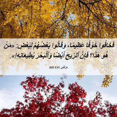 Picture 06 - مَرْقُس 4:41 AVD - فَخَافُوا خَوْفًا - Bible Verse Picture