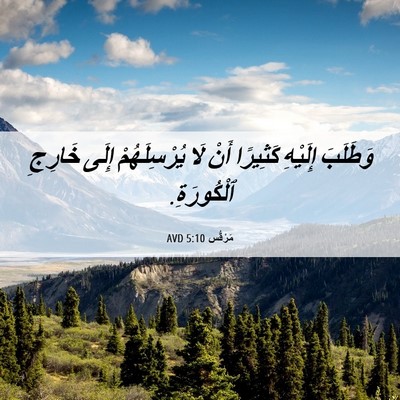 Picture 06 - مَرْقُس 5:10 AVD - وَطَلَبَ إِلَيْهِ - Bible Verse Picture