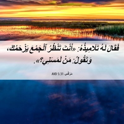 Picture 06 - مَرْقُس 5:31 AVD - فَقَالَ لَهُ تَلَامِيذُهُ: - Bible Verse Picture