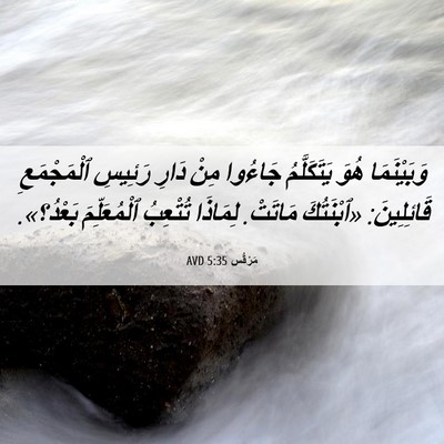 Picture 06 - مَرْقُس 5:35 AVD - وَبَيْنَمَا هُوَ - Bible Verse Picture