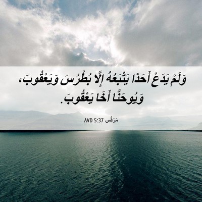 Picture 06 - مَرْقُس 5:37 AVD - وَلَمْ يَدَعْ أَحَدًا - Bible Verse Picture