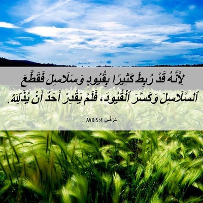 Picture 06 - مَرْقُس 5:4 AVD - لِأَنَّهُ قَدْ رُبِطَ - Bible Verse Picture