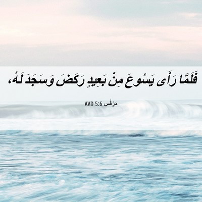 Picture 06 - مَرْقُس 5:6 AVD - فَلَمَّا رَأَى يَسُوعَ - Bible Verse Picture