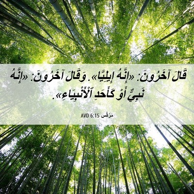 Picture 06 - مَرْقُس 6:15 AVD - قَالَ آخَرُونَ: «إِنَّهُ - Bible Verse Picture