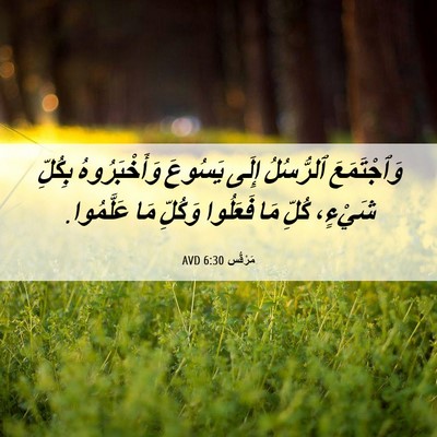 Picture 06 - مَرْقُس 6:30 AVD - وَٱجْتَمَعَ ٱلرُّسُلُ - Bible Verse Picture