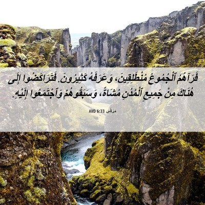 Picture 06 - مَرْقُس 6:33 AVD - فَرَآهُمُ ٱلْجُمُوعُ - Bible Verse Picture