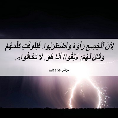 Picture 06 - مَرْقُس 6:50 AVD - لِأَنَّ ٱلْجَمِيعَ - Bible Verse Picture