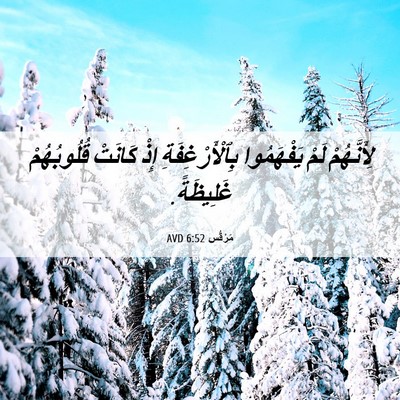 Picture 06 - مَرْقُس 6:52 AVD - لِأَنَّهُمْ لَمْ - Bible Verse Picture
