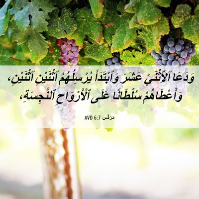 Picture 06 - مَرْقُس 6:7 AVD - وَدَعَا ٱلِٱثْنَيْ عَشَرَ - Bible Verse Picture