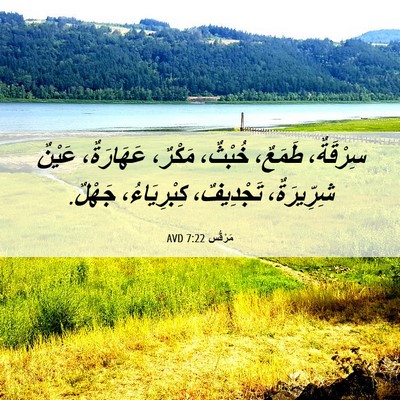 Picture 06 - مَرْقُس 7:22 AVD - سِرْقَةٌ، طَمَعٌ، خُبْثٌ، - Bible Verse Picture