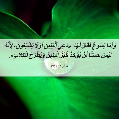 Picture 06 - مَرْقُس 7:27 AVD - وَأَمَّا يَسُوعُ فَقَالَ - Bible Verse Picture