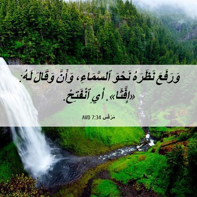 Picture 06 - مَرْقُس 7:34 AVD - وَرَفَعَ نَظَرَهُ نَحْوَ - Bible Verse Picture