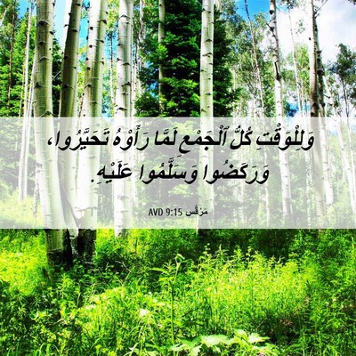 Picture 06 - مَرْقُس 9:15 AVD - وَلِلْوَقْتِ كُلُّ - Bible Verse Picture