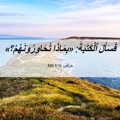 Picture 06 - مَرْقُس 9:16 AVD - فَسَأَلَ ٱلْكَتَبَةَ: - Bible Verse Picture