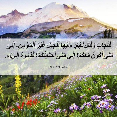 Picture 06 - مَرْقُس 9:19 AVD - فَأَجَابَ وَقَالَ لَهُمْ: - Bible Verse Picture