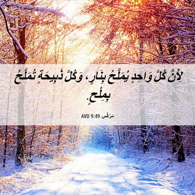 Picture 06 - مَرْقُس 9:49 AVD - لِأَنَّ كُلَّ وَاحِدٍ - Bible Verse Picture