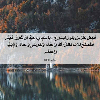 Picture 06 - مَرْقُس 9:5 AVD - فَجَعَلَ بُطْرُسُ يَقولُ - Bible Verse Picture