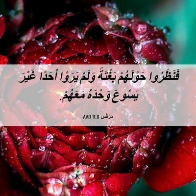 Picture 06 - مَرْقُس 9:8 AVD - فَنَظَرُوا حَوْلَهُمْ - Bible Verse Picture
