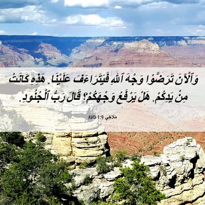 Picture 06 - مَلَاخِي 1:9 AVD - وَٱلْآنَ تَرَضَّوْا - Bible Verse Picture