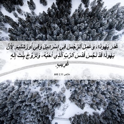 Picture 06 - مَلَاخِي 2:11 AVD - غَدَرَ يَهُوذَا، وَعُمِلَ - Bible Verse Picture