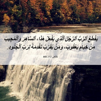 Picture 06 - مَلَاخِي 2:12 AVD - يَقْطَعُ ٱلرَّبُّ - Bible Verse Picture