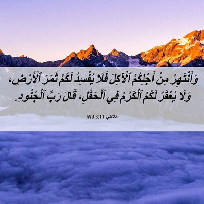 Picture 06 - مَلَاخِي 3:11 AVD - وَأَنْتَهِرُ مِنْ - Bible Verse Picture