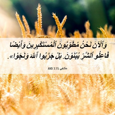 Picture 06 - مَلَاخِي 3:15 AVD - وَٱلْآنَ نَحْنُ - Bible Verse Picture