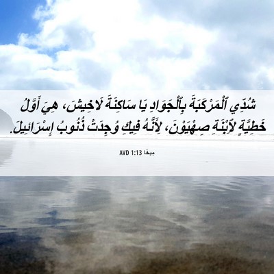 Picture 06 - مِيخَا 1:13 AVD - شُدِّي ٱلْمَرْكَبَةَ - Bible Verse Picture