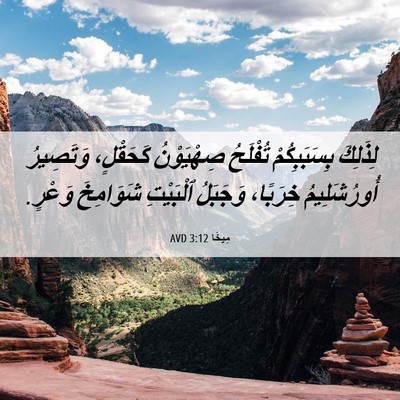 Picture 06 - مِيخَا 3:12 AVD - لِذَلِكَ بِسَبَبِكُمْ - Bible Verse Picture