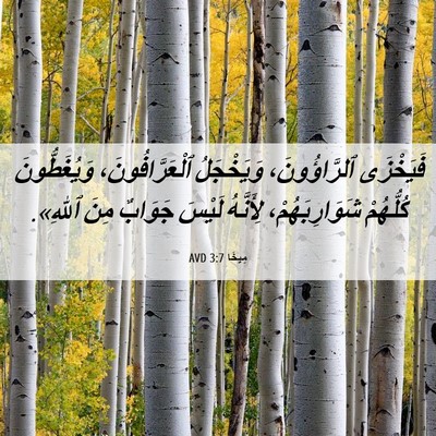 Picture 06 - مِيخَا 3:7 AVD - فَيَخْزَى ٱلرَّاؤُونَ، - Bible Verse Picture
