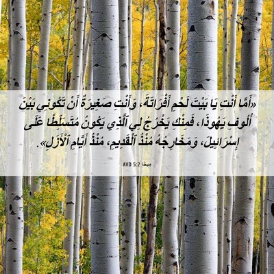 Picture 06 - مِيخَا 5:2 AVD - «أَمَّا أَنْتِ يَا بَيْتَ - Bible Verse Picture