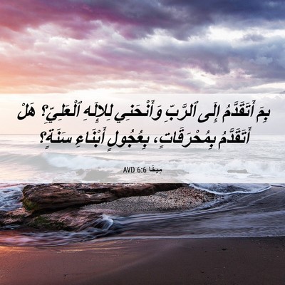 Picture 06 - مِيخَا 6:6 AVD - بِمَ أَتَقَدَّمُ إِلَى - Bible Verse Picture