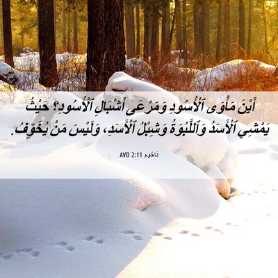 Picture 06 - نَاحُوم 2:11 AVD - أَيْنَ مَأْوَى ٱلْأُسُودِ - Bible Verse Picture