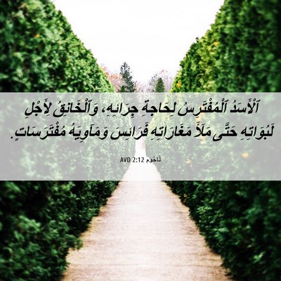 Picture 06 - نَاحُوم 2:12 AVD - ٱلْأَسَدُ ٱلْمُفْتَرِسُ - Bible Verse Picture