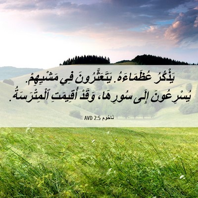 Picture 06 - نَاحُوم 2:5 AVD - يَذْكُرُ عُظَمَاءَهُ. - Bible Verse Picture