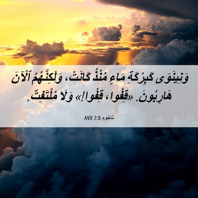 Picture 06 - نَاحُوم 2:8 AVD - وَنِينَوَى كَبِرْكَةِ - Bible Verse Picture