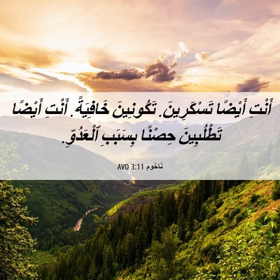 Picture 06 - نَاحُوم 3:11 AVD - أَنْتِ أَيْضًا - Bible Verse Picture