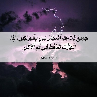 Picture 06 - نَاحُوم 3:12 AVD - جَمِيعُ قِلَاعِكِ - Bible Verse Picture