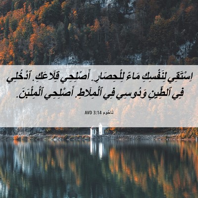 Picture 06 - نَاحُوم 3:14 AVD - اِسْتَقِي لِنَفْسِكِ - Bible Verse Picture