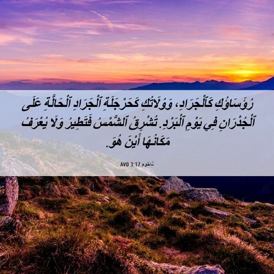 Picture 06 - نَاحُوم 3:17 AVD - رُؤَسَاؤُكِ كَٱلْجَرَادِ، - Bible Verse Picture