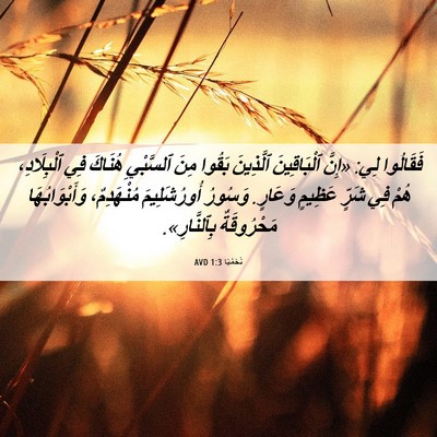 Picture 06 - نَحَمْيَا 1:3 AVD - فَقَالُوا لِي: «إِنَّ - Bible Verse Picture