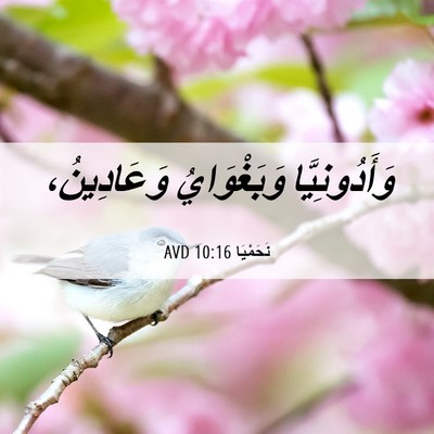 Picture 06 - نَحَمْيَا 10:16 AVD - وَأَدُونِيَّا وَبَغْوَايُ - Bible Verse Picture