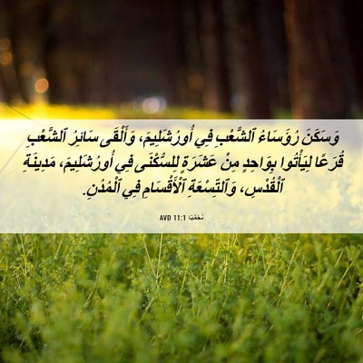 Picture 06 - نَحَمْيَا 11:1 AVD - وَسَكَنَ رُؤَسَاءُ - Bible Verse Picture