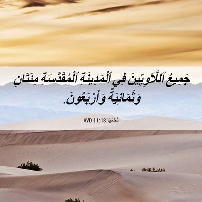 Picture 06 - نَحَمْيَا 11:18 AVD - جَمِيعُ ٱللَّاَوِيِّينَ - Bible Verse Picture