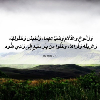 Picture 06 - نَحَمْيَا 11:30 AVD - وَزَانُوحَ وَعَدُلَّامَ - Bible Verse Picture