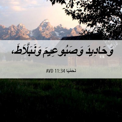 Picture 06 - نَحَمْيَا 11:34 AVD - وَحَادِيدَ وَصَبُوعِيمَ - Bible Verse Picture