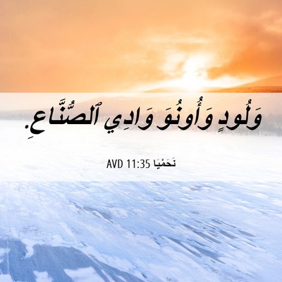 Picture 06 - نَحَمْيَا 11:35 AVD - وَلُودٍ وَأُونُوَ وَادِي - Bible Verse Picture